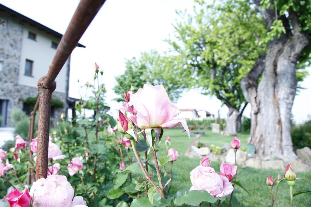 Massoni Bed And Breakfast Peschiera del Garda Exteriör bild