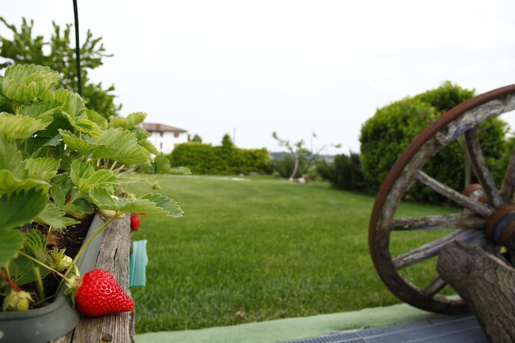 Massoni Bed And Breakfast Peschiera del Garda Exteriör bild